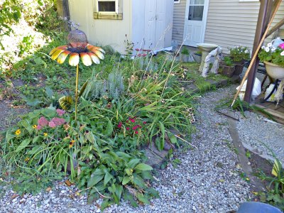 4 Oct shed garden