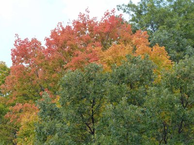 10 Oct Fall Color