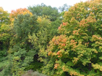 13 Oct Fall Color