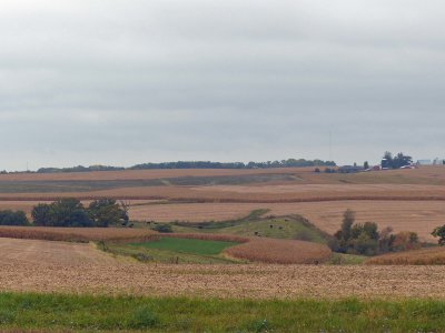 19 Oct Farm Field