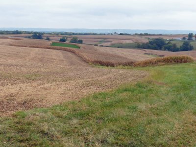18 Oct Farm Field