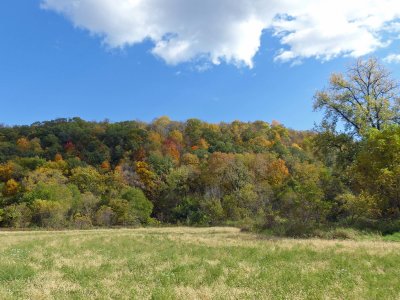 15 Oct Fall Color