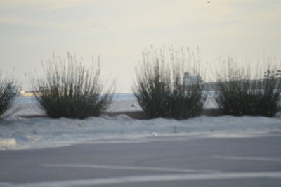 Long Beach