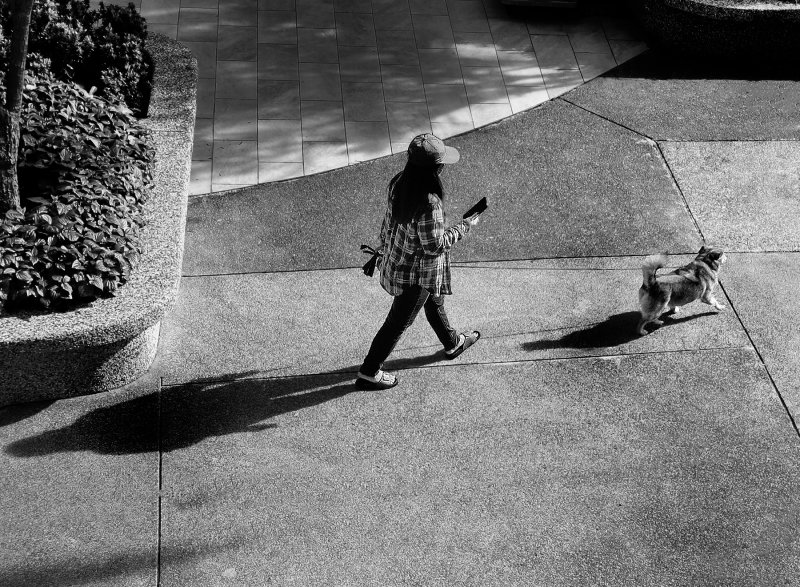 Early morning walk with her pet dog