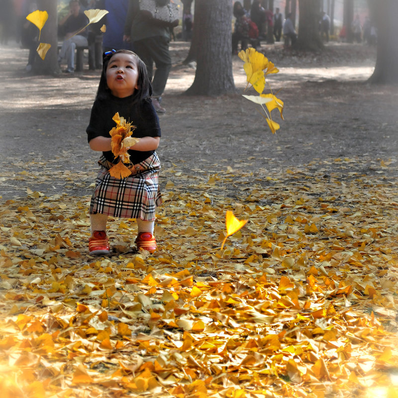 Fills with joy at the sight of falling autumn leaves