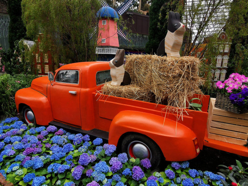 Adventure to the Netherlands (Gardens by the Bay)