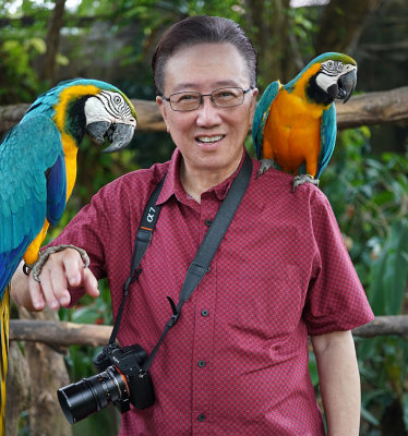 My macaw companions  and me