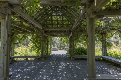 Quarry Hill Botanical Gardens