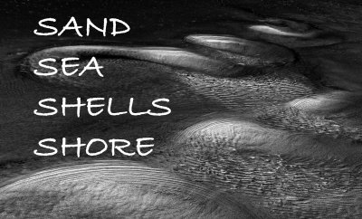  SAND, SEA & SHELLS