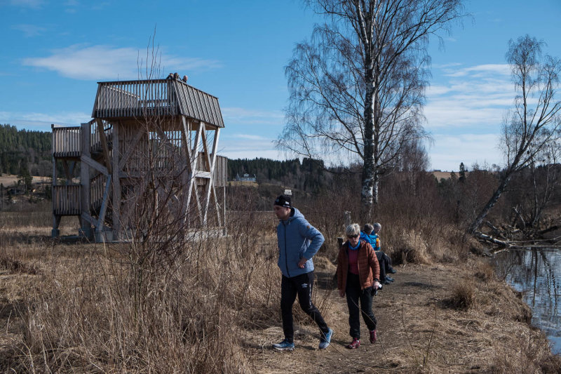Et fugletrn som de velvillig har satt opp der ute