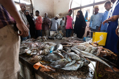 Auction at the Fish Market