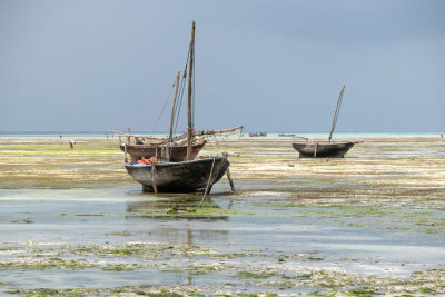 Low tide at Nungwi