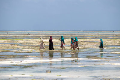 Low tide at Nungwi