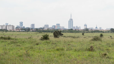 Nairobi from the park