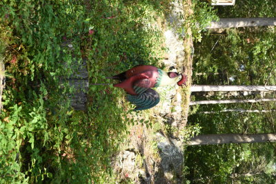 DSC_2770.JPG