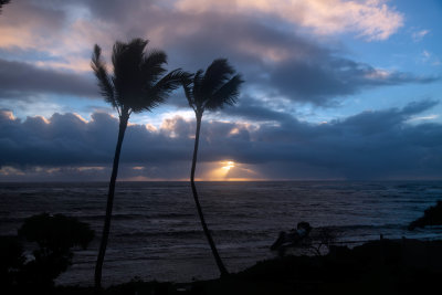 Kaua'i 95