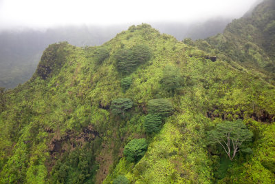 Kaua'i 14