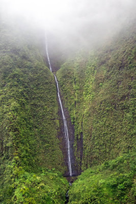 Kaua'i 7