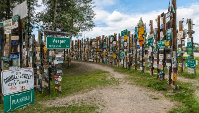 Sign Post Forest