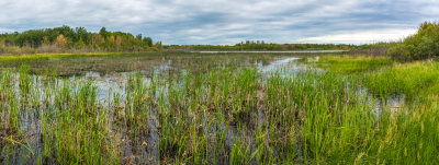 Clifford E. Lee Sanctuary