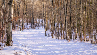 Tracks