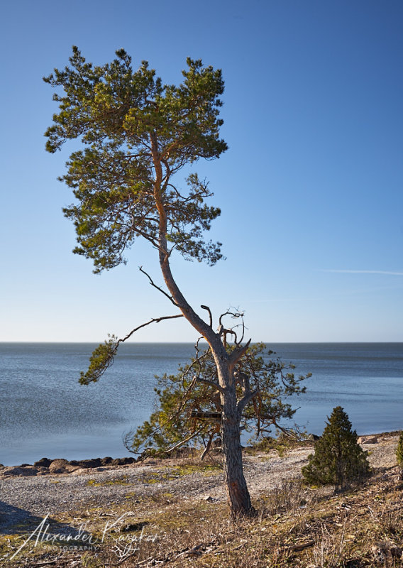 190322-0109.jpg
