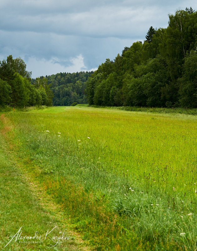 Meadow