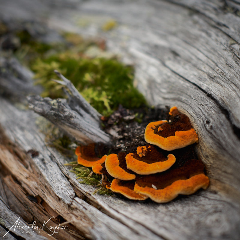 201009-2470.jpg