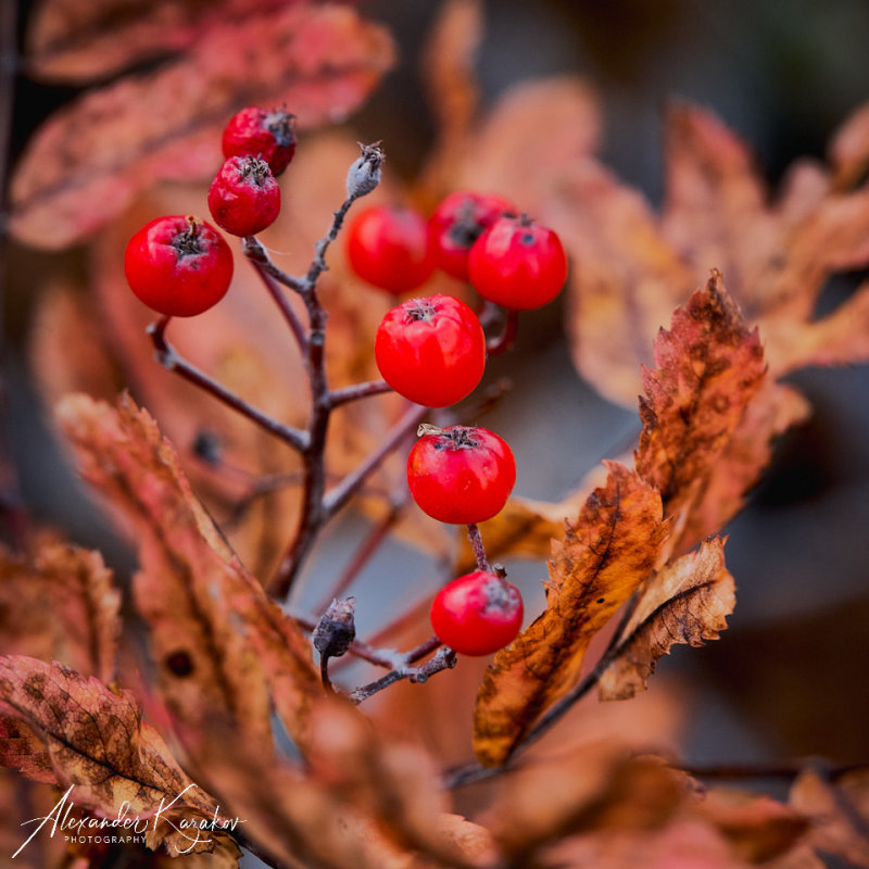 201009-2504.jpg