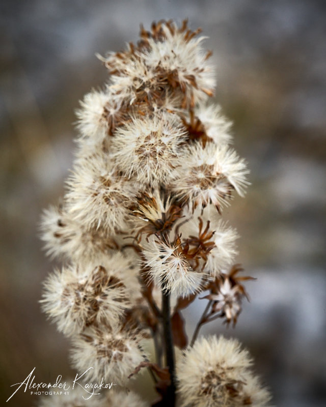 201009-2505.jpg
