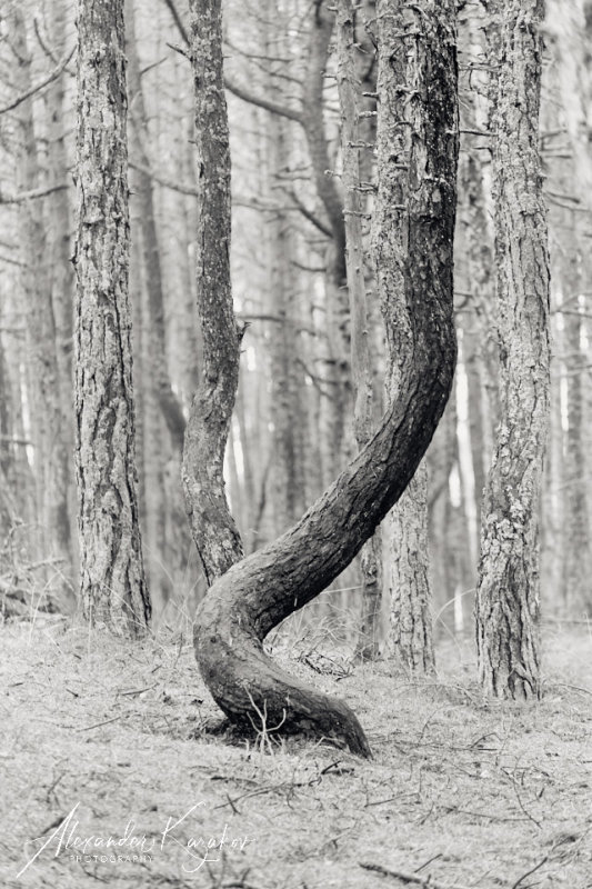 201231-3967.jpg