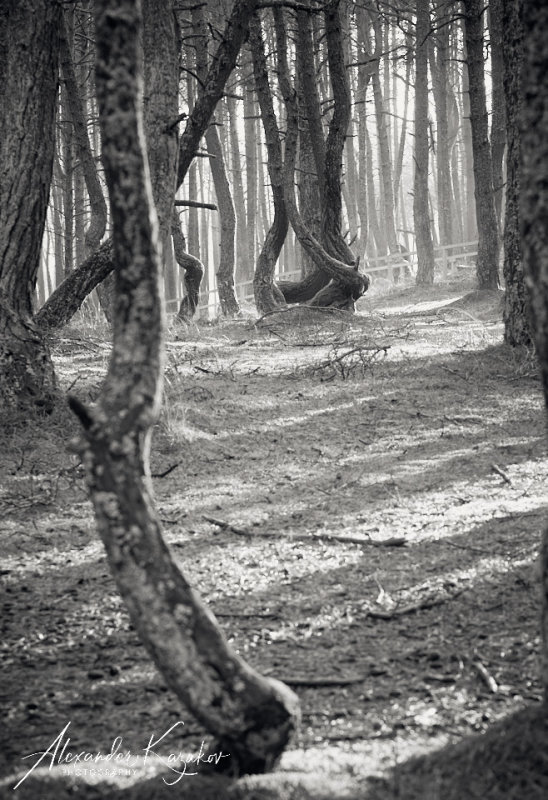201231-3989.jpg