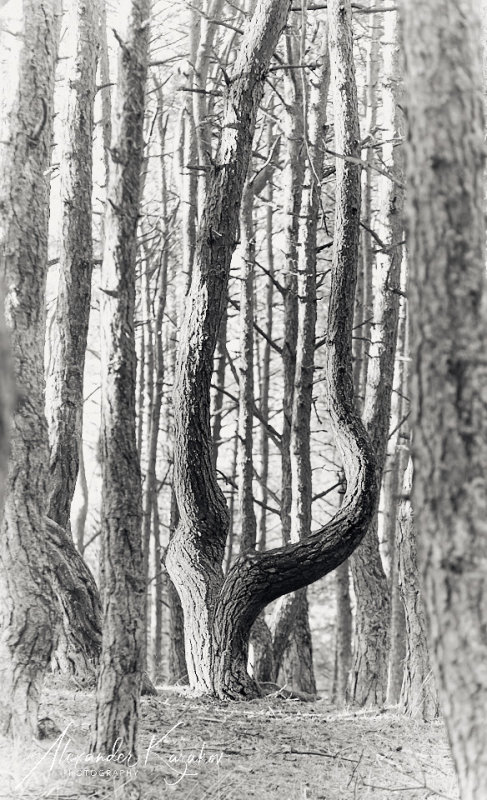 201231-4002.jpg