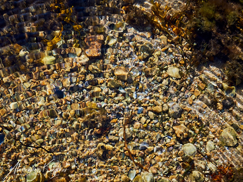 190918-0572.jpg