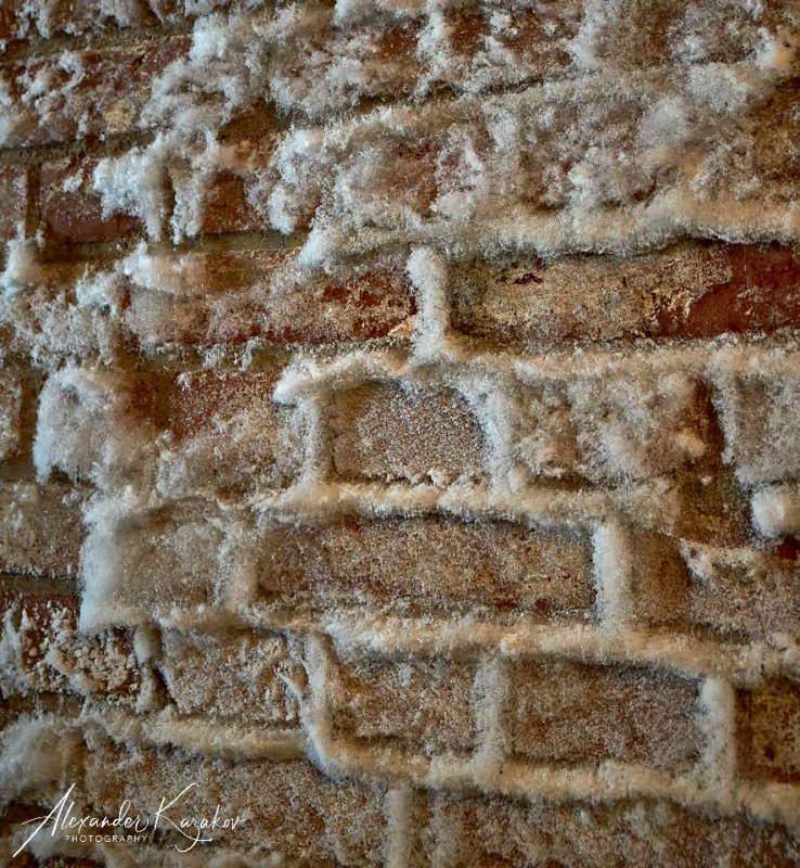 201227-2050.jpg