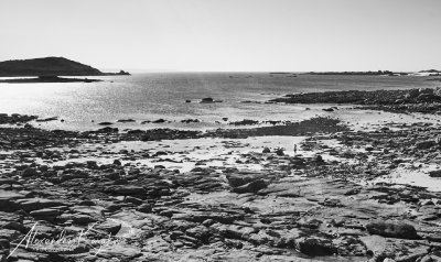 190918-0581.jpg