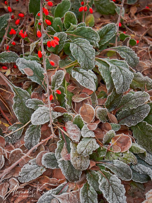 201231-3849.jpg