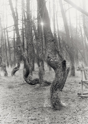 201231-4032.jpg