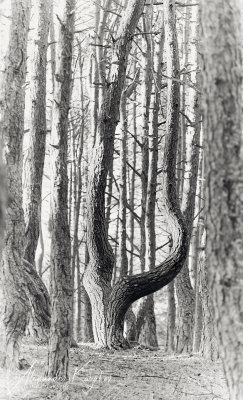 201231-4002.jpg