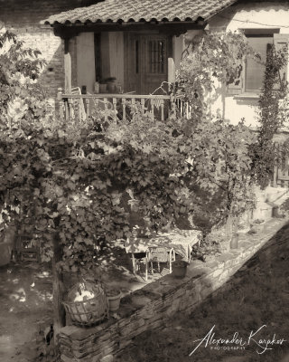 211022-1494.jpg