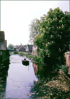 DG 4080.jpg