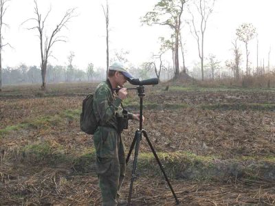 Stefan Lithner In the early morning grey, awaiting appearance of Giant Ibis Cambodia 2010,