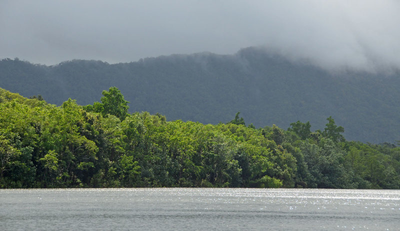 Daintree River