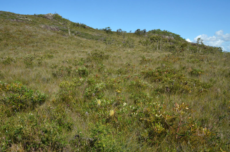 # Emu Mountain #