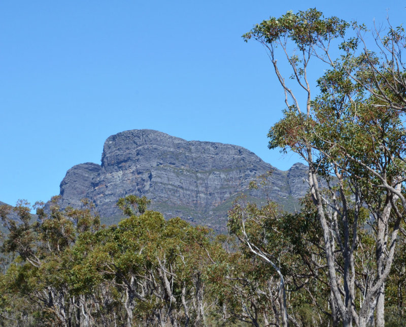 Bluff Knoll