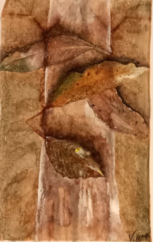 leaves