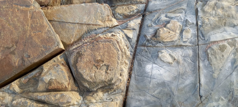 rockscape