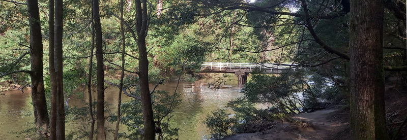 Arthur River
