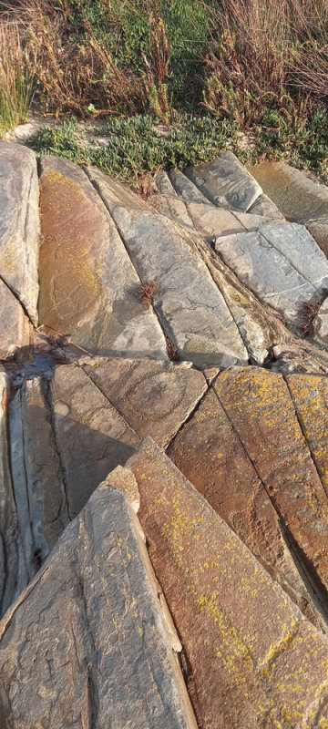 rockscape