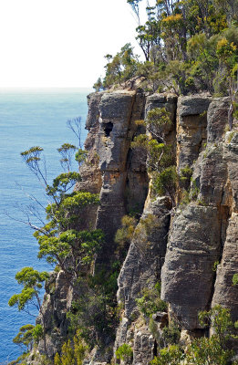 rugged coast